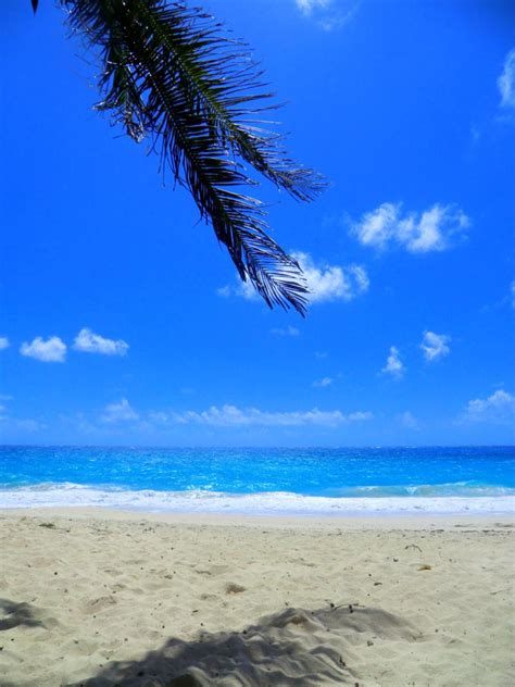 Bottom Bay Beach Der Schönste Strand Von Barbados My Travelworld