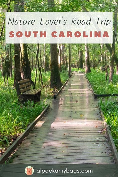 The Ultimate North Carolina Road Trip Itinerary For Families Top 10 Nc