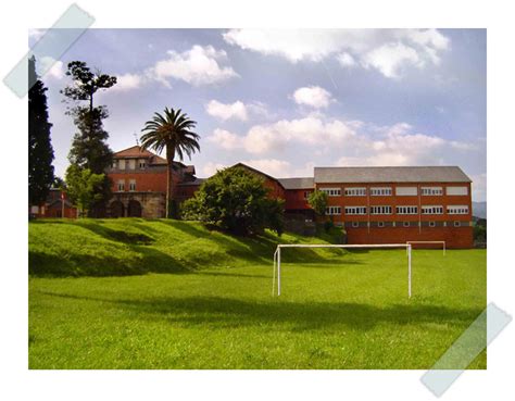 Colegio Público El Haya