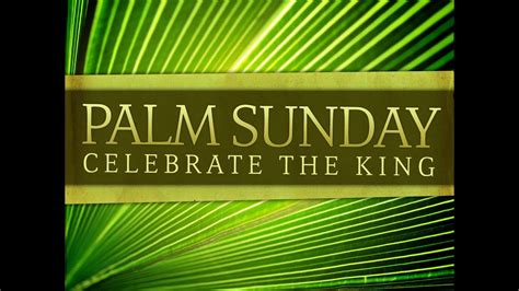 Palm Sunday Reading Matthew 211 11 Niv Youtube