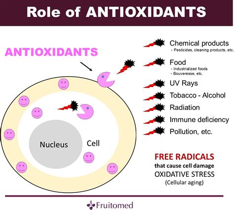 Electrons prefer to be in pairs and when an electron is alone in its orbital in will try to take an electron from another atom to become more stable. Role of antioxidants - Fruitomed