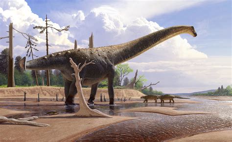 Abdarainurus Barsboldi A Mid Sized Titanosaur From Late Cretaceous