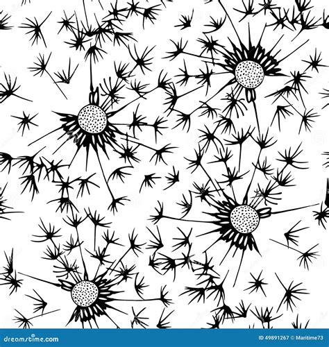 Seamless Pattern Of Dandelion Hand Drawn Floral Background Bl Stock