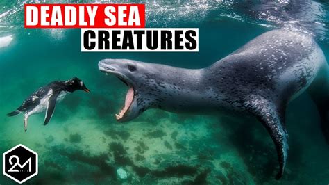 You Wont Believe These 7 Weird Sea Creatures Actually