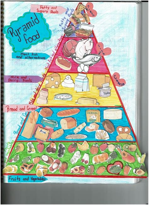 Check spelling or type a new query. FOOD PYRAMID - Evidence Portfolio
