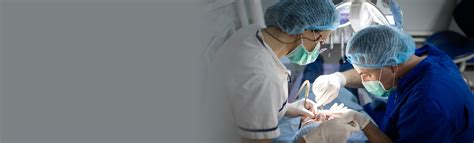 Salivary Gland Surgery The Barranco Clinic