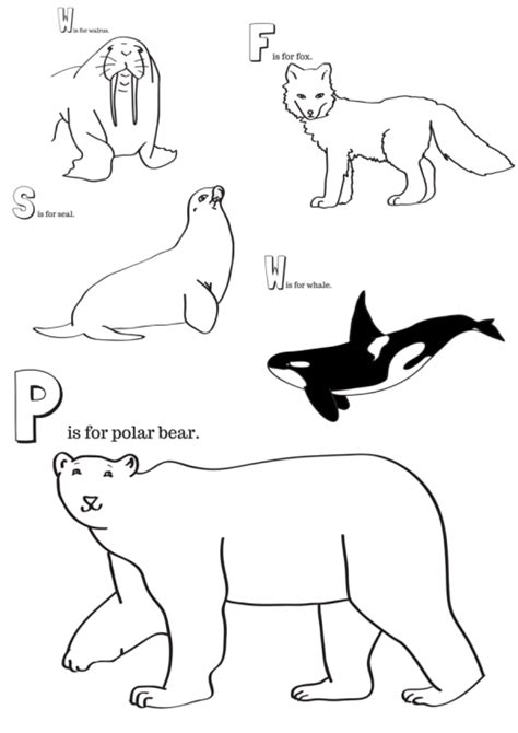 Animal Theme Arctic Animals Arctic Animals Printables Animal Printables