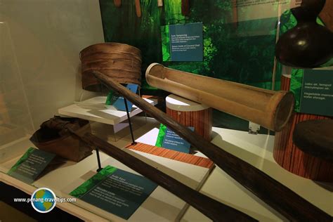 Sekali pandang macam pokok lengkuas. Muzium Orang Asli