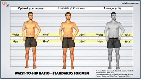 Waist To Hip Ratio Reliable Research Shows If You Need To Lose Weight