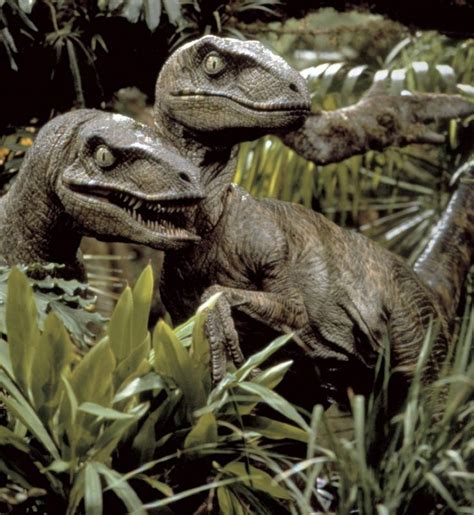 Deinonychus Jurassic Park Jurassic Park 1993 Jurassic Park Raptor