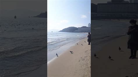 Haeundae Beach Busan South Korea January 2019 Youtube