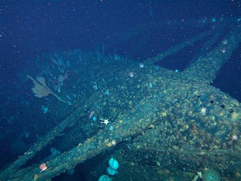 Stunning underwater photos reveal 1845 shipwreck frozen in time. On Eternal Patrol - Loss of USS Grunion (SS-216)