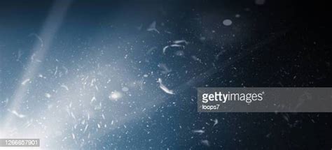 Dust Particles In Sunlight Photos And Premium High Res Pictures Getty