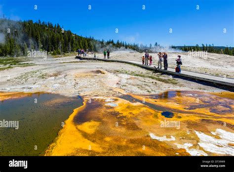 Tourists On The Trail At Geyser Hll Upper Geyser Basin Yellowstone