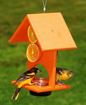We did not find results for: The 25+ best Oriole bird feeders ideas on Pinterest