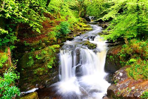 Landscape Forest Waterfall Wallpaper Popular Century