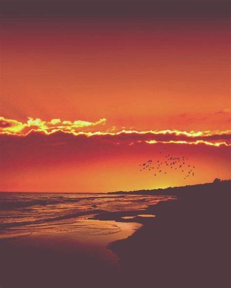 An Idyllic Sunset 🌇 On The Beach 🌊 With Flying Birds 🐦 🐦 🐦 🐦 👌☺💖 Beach Wallpaper Sunset