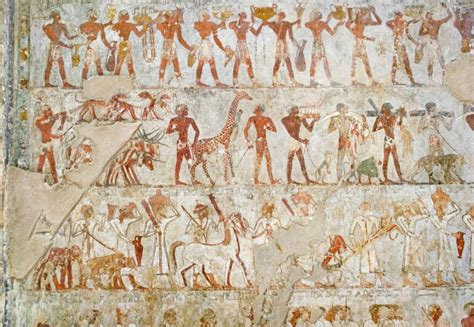 Tomb Of Rekhmire Tt100 Explore Luxor
