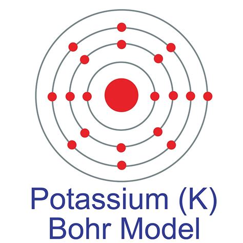 Potassium Ion Diagram Photos Cantik