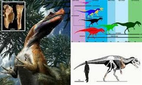 The Oldest Large Sized Predatory Dinosaur Comes From The Italian Alps