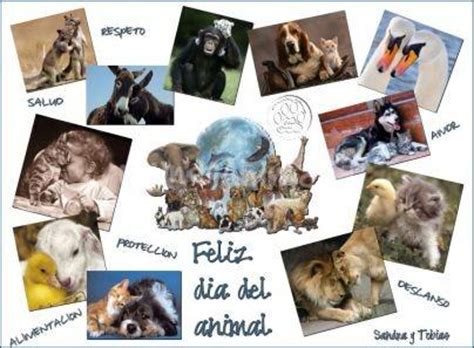 Una manera de celebrar este día y apoyar la causa que este manifiesta es no comprar, sino adoptar mascotas. FLIZ DIA DEL ANIMAL - Foros de Caballos - mundoAnimalia.com
