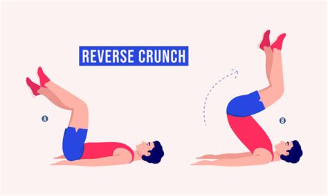 Reverse Crunch Exercise Men Workout Fitness Aerobic And Exercises