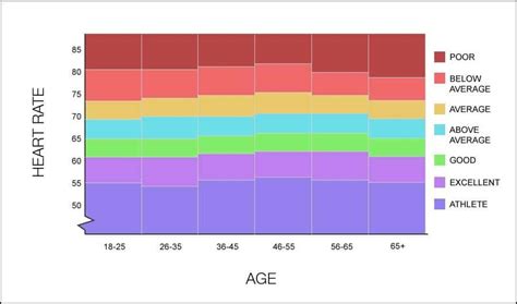 Average Resting Heart Rate By Age Why It Important For You 33rd Square