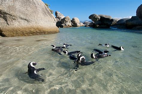 6 Memorable Adventures In Cape Town South Africa Goway