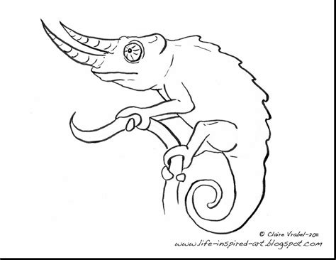 We did not find results for: Chameleon Drawing at GetDrawings | Free download