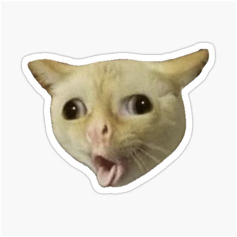 Coughing Cat Meme Sticker For Sale By Bizkitbones Redbubble