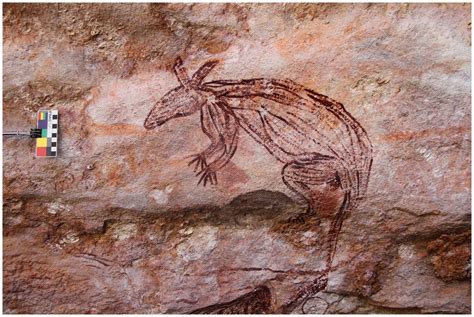 Kangaroo Painting Australia S Oldest Aboriginal Rock Art Hot Sex Picture