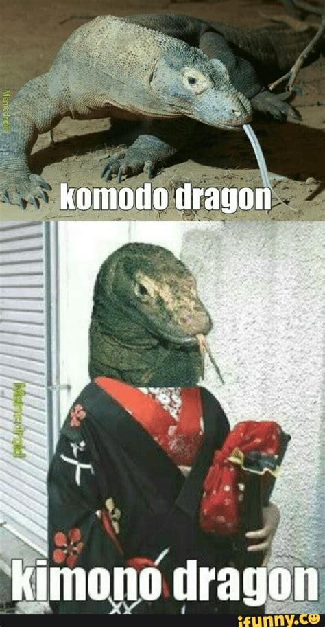 The Best 18 Funny Komodo Dragon Memes Goveieesz