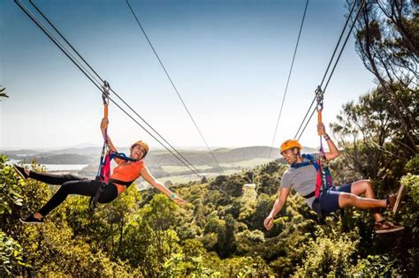 9 Adrenaline Activities In Auckland Nz Pocket Guide 1 New Zealand