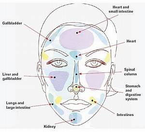 Healthguru Acne Face Chart A Lot Of People Get Confused