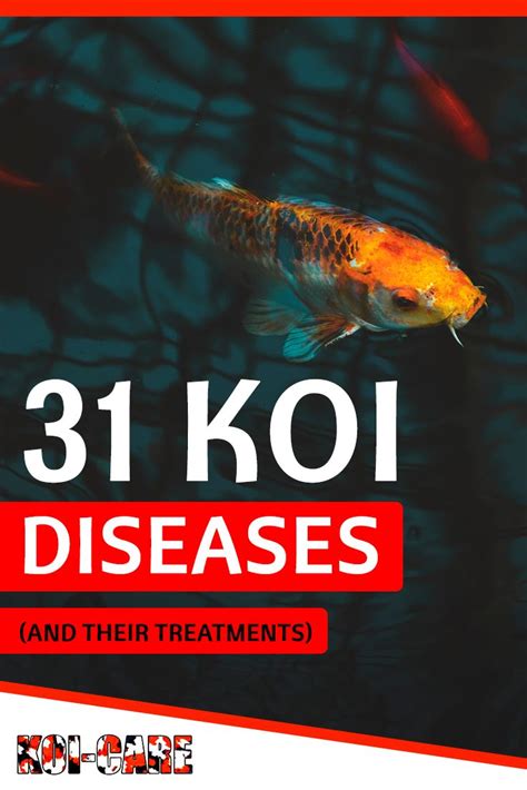 Koi Diseases And Their Treatments Learn How To Diagnose And Treat Koi