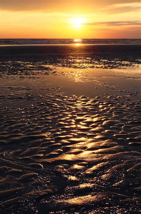 Golden Sunset On The Sand Beach Photograph Golden Sunset On The Sand