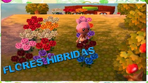 Como Plantar Rosas Animal Crossing Vasos De Flores Modernos