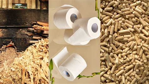 Sugarcane Bagsees A Perfect Fiber Material For Paper And Pulp Making