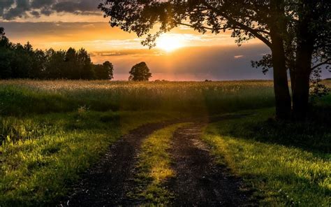 1179746 Sunlight Trees Landscape Sunset Hill Nature Grass Sky