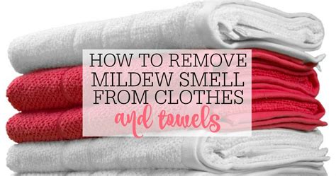 My first thought was that there is food waste going. How To Remove Mildew Smell From Clothes and Towels ...