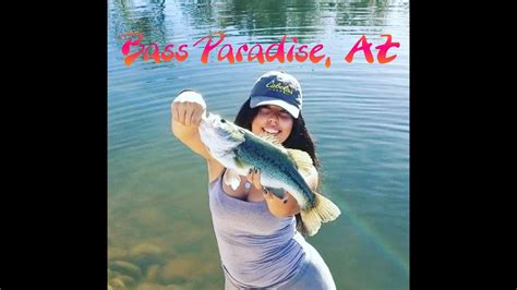 Bass Paradise AZ 4K YouTube