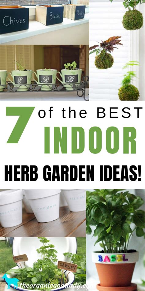 7 Of The Best Indoor Herb Garden Ideas The Organic Goat Lady