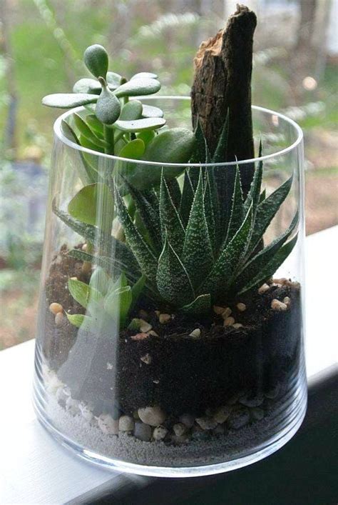 Most Beautiful Succulent Terrarium Ideas For Your Indoor That You Will