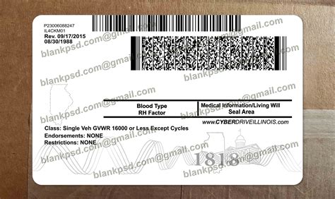 Blank Illinois Drivers License Template New V2 Blank Psd