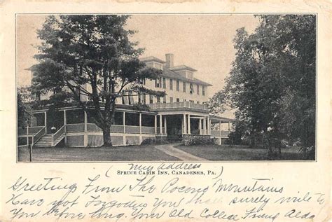 Canadensis Pennsylvania Spruce Cabin Inn Street View Antique Postcard