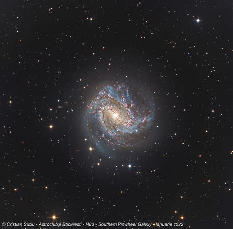 M83 Southern Pinwheel Galaxy Telescope Live