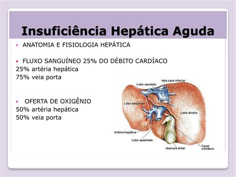 PPT Insuficiência Hepática Aguda PowerPoint Presentation free