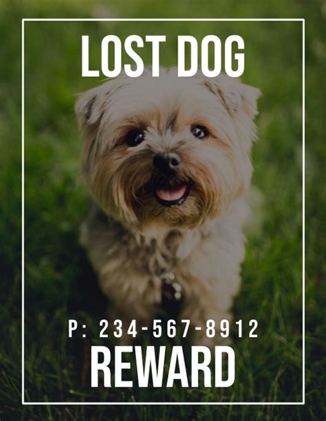 Lost Dog Reward Template Postermywall