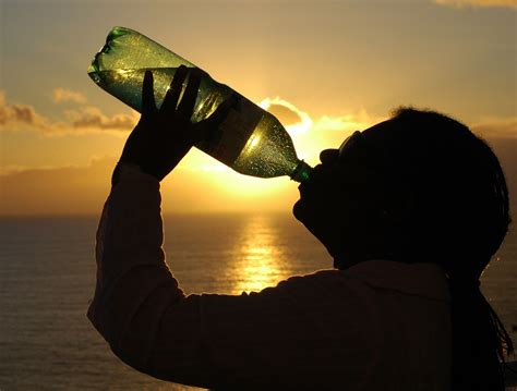 Botellas Reutilizables Los Errores Que Hacen Tomar Agua Contaminada