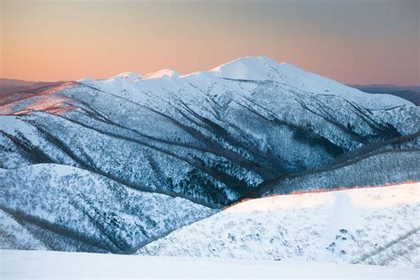 Pack A Sunset Picnic And Look Out To Mt Feathertop Global Medical